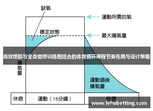 高效燃脂与全身塑形训练相结合的体育循环课程节奏布局与设计策略