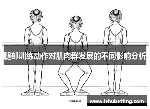 腿部训练动作对肌肉群发展的不同影响分析